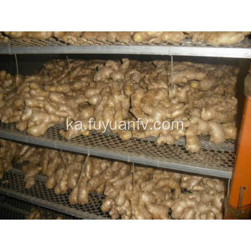 საჰაერო გამხმარი Ginger 300g და მდე